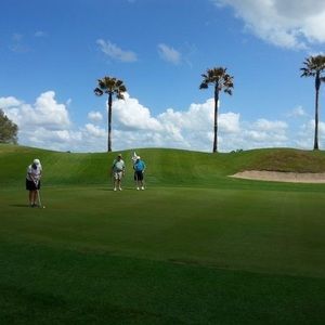 Meet your Posher, Pat